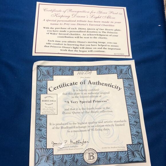 BRADFORD EXCHANGE PRINCESS DIANA "A VERY SPECIAL PRINCESS" 1998 oval PLATE - Picture 6 of 6